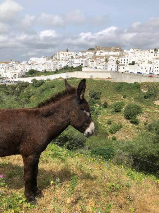 Casita Tacande - Una Bonita Casita Situada En El Casco Antiguo De Vejer De La Frontera Exteriér fotografie